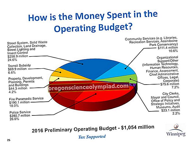Provozní rozpočet