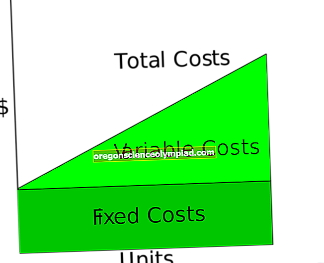 Příklady fixních nákladů